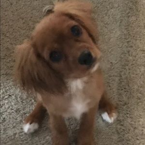 Meet your Posher, Beth